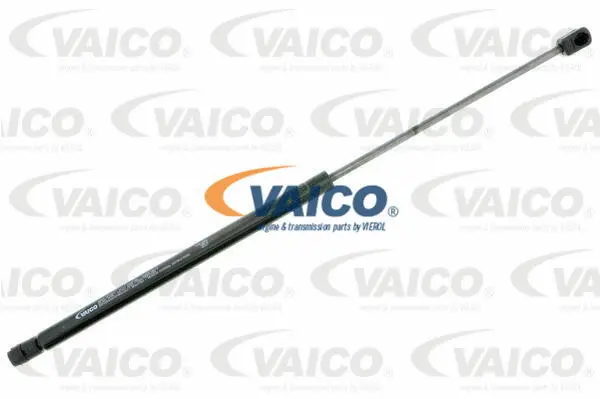 Gas Spring, boot/cargo area
