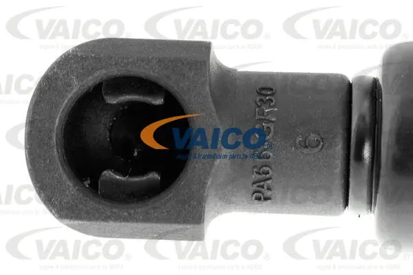 Gas Spring, boot/cargo area