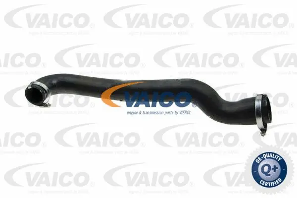 Charge Air Hose