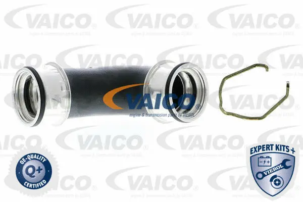 Charge Air Hose