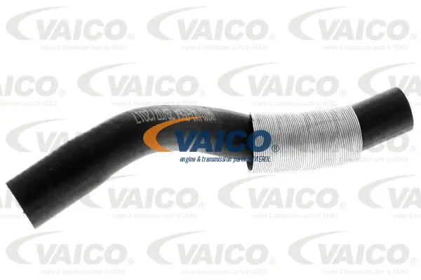 Charge Air Hose
