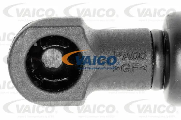 Gas Spring, boot/cargo area