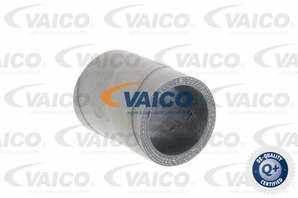 Charge Air Hose