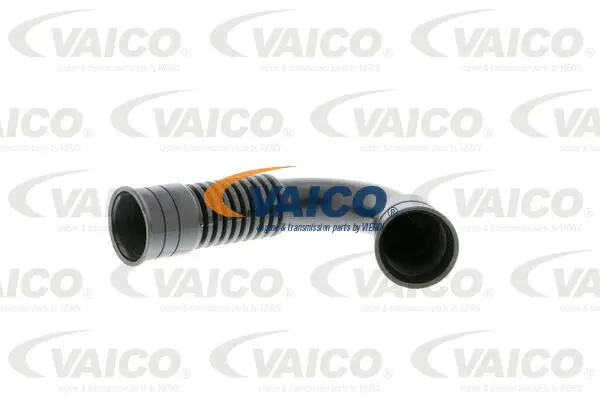 Hose, cylinder head cover ventilation