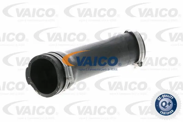 Charge Air Hose
