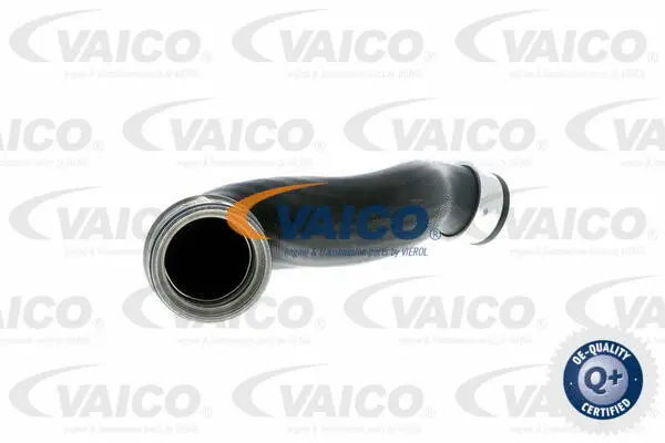Charge Air Hose