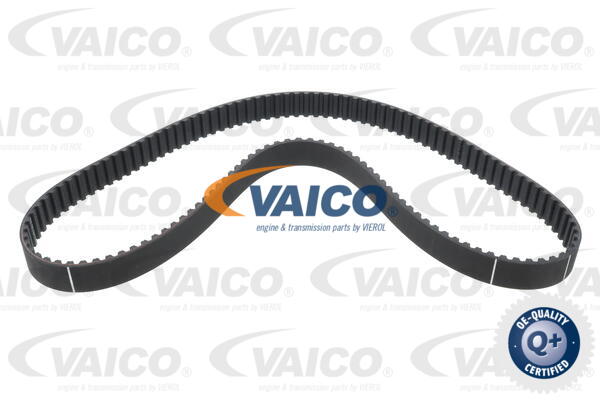 Timing Belt