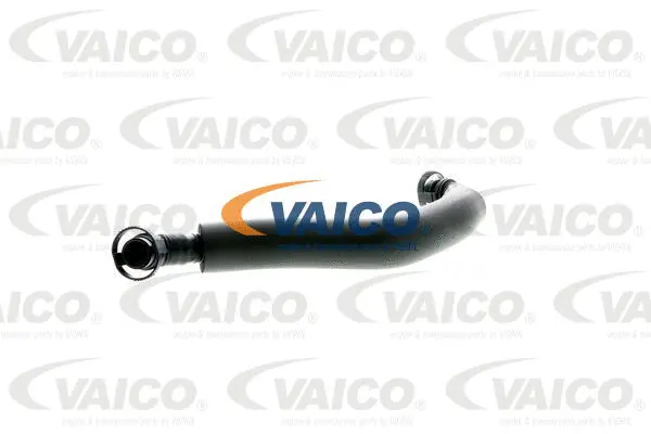 Hose, crankcase ventilation
