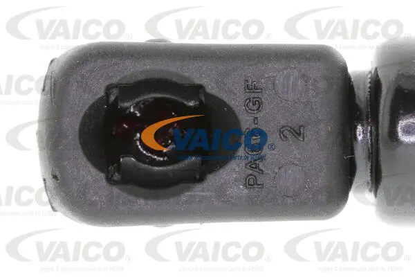 Gas Spring, boot/cargo area