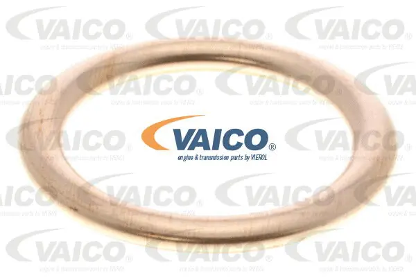 Oil Sump, automatic transmission