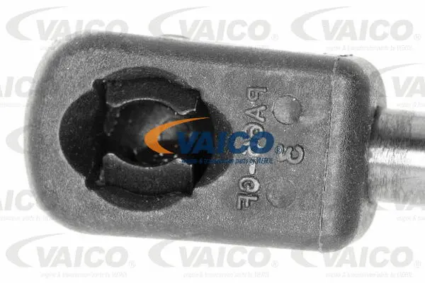 Gas Spring, bonnet