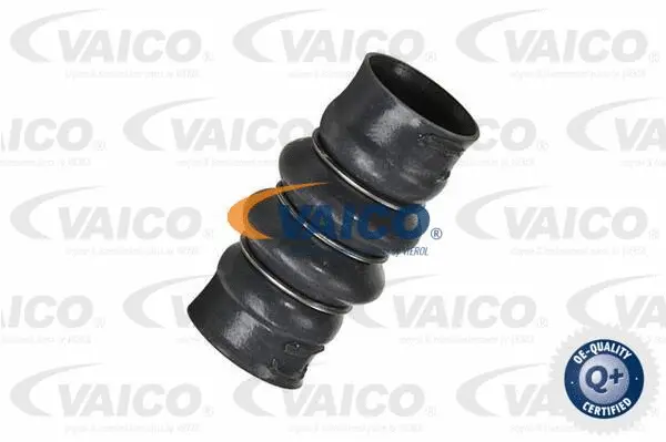 Charge Air Hose