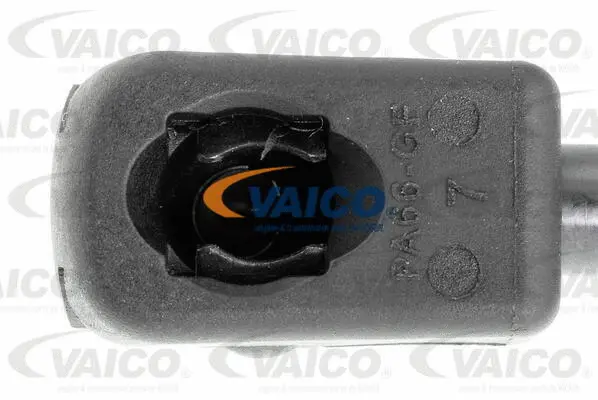 Gas Spring, boot/cargo area