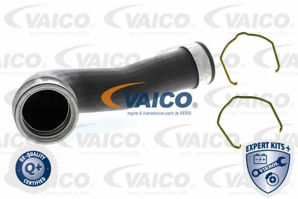 Charge Air Hose
