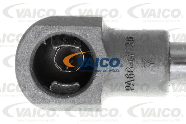 Gas Spring, boot/cargo area