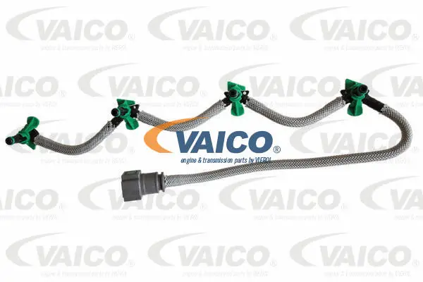 Hose, fuel overflow