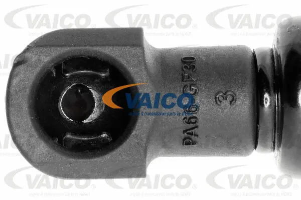 Gas Spring, boot/cargo area