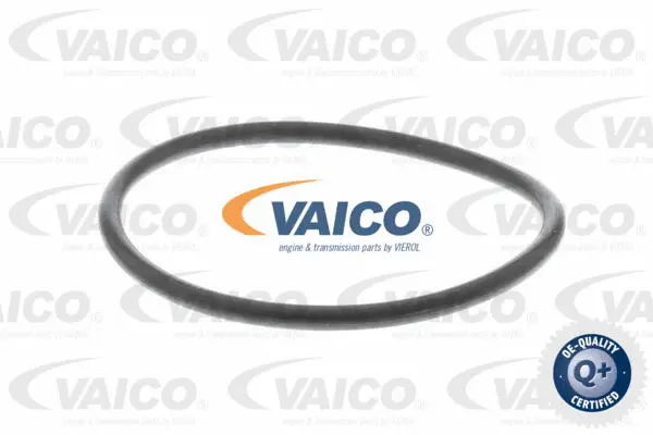 Hydraulic Filter, automatic transmission