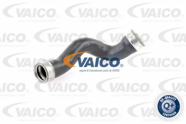 Charge Air Hose