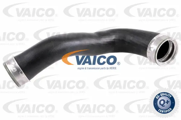 Charge Air Hose