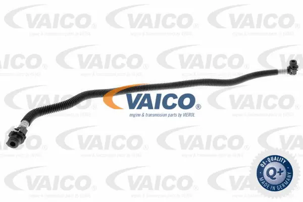 Fuel Line