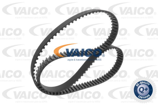 Timing Belt