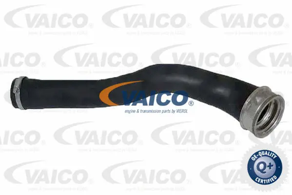 Charge Air Hose