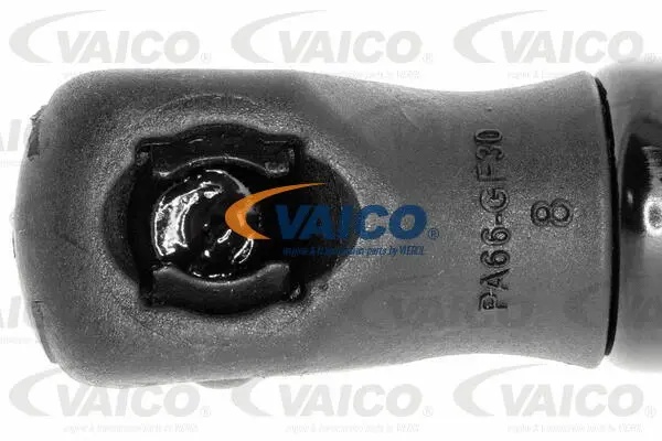 Gas Spring, boot/cargo area