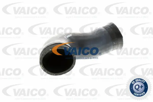 Charge Air Hose