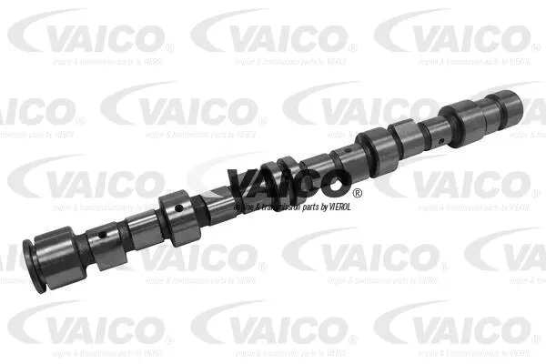 Camshaft