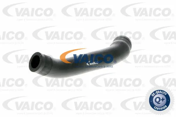 Charge Air Hose