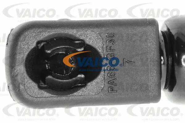Gas Spring, boot/cargo area