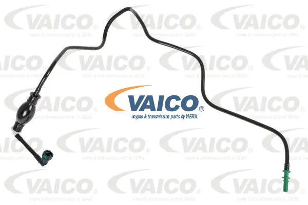 Fuel Line