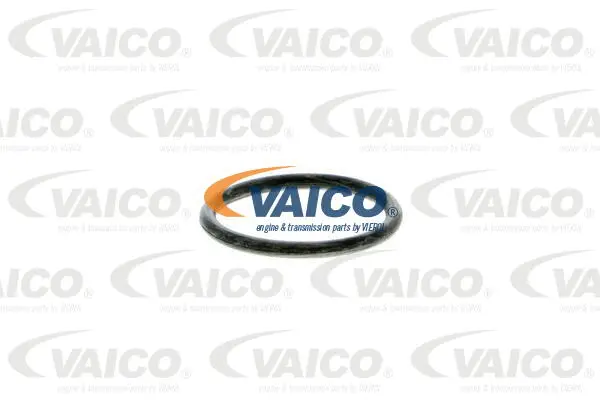 Coolant Flange