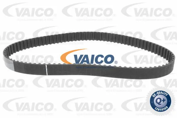 Timing Belt