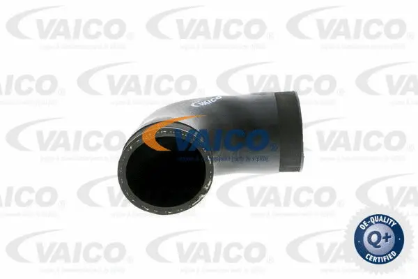 Charge Air Hose