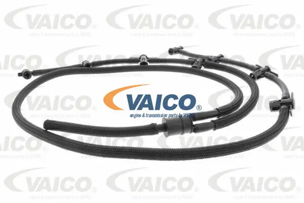 Hose, fuel overflow
