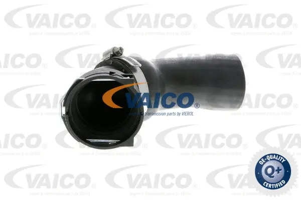 Charge Air Hose