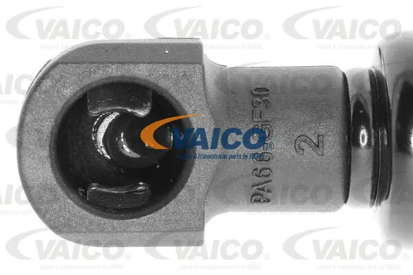 Gas Spring, boot/cargo area