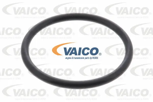 Hydraulic Filter, automatic transmission