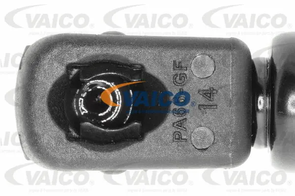 Gas Spring, boot/cargo area