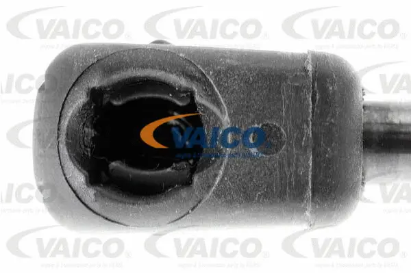 Gas Spring, boot/cargo area