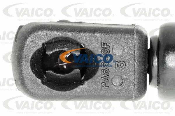 Gas Spring, boot/cargo area