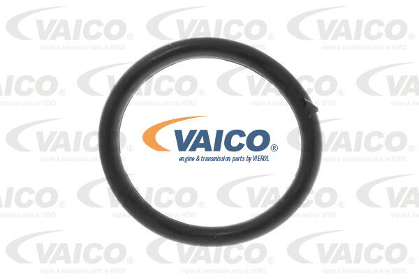Coolant Flange