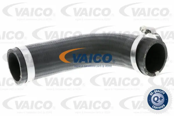 Charge Air Hose