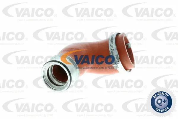 Charge Air Hose