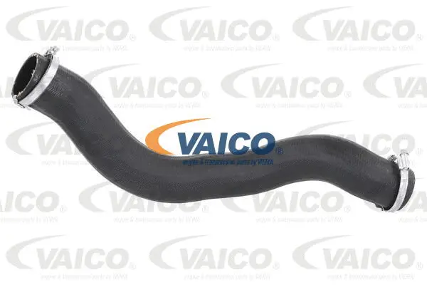Charge Air Hose