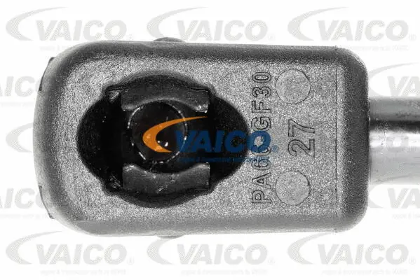 Gas Spring, bonnet