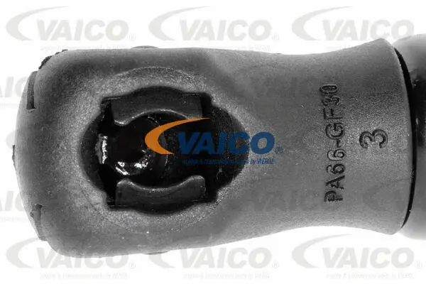 Gas Spring, boot/cargo area