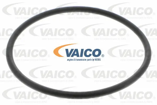 Hydraulic Filter, automatic transmission